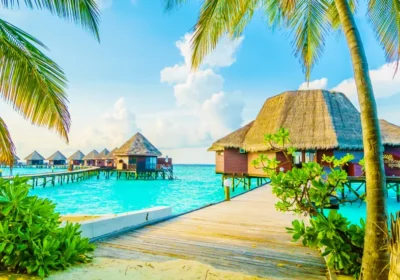 Dream. Explore. Discover. Where Will You Go Next?