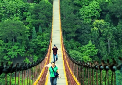 Tropical Escapes & Beach Getaways.